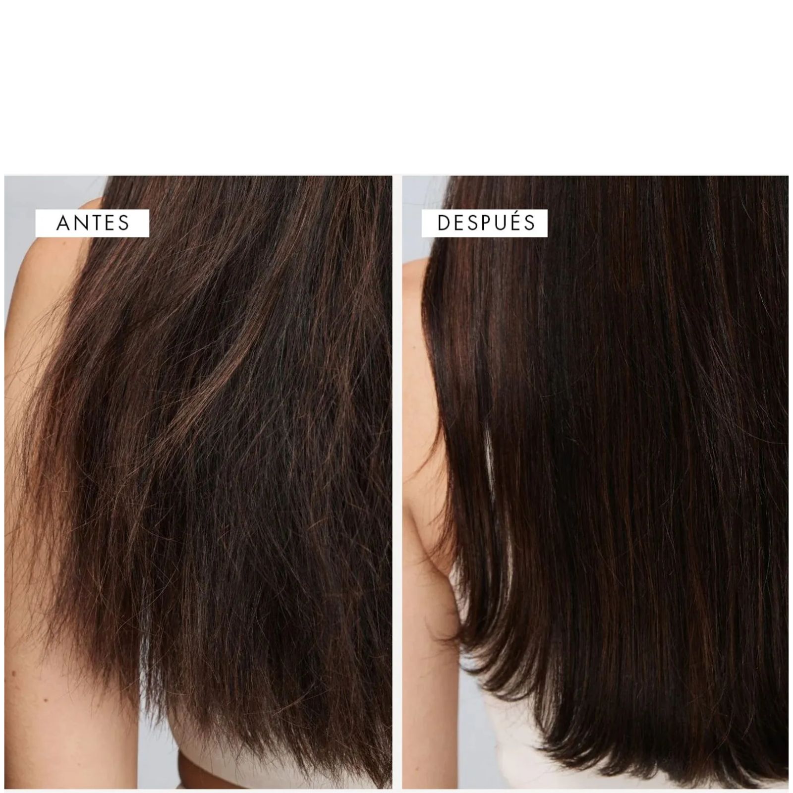 Olaplex No. 5 Leave In Acondicionador 250 ml. - Image 4