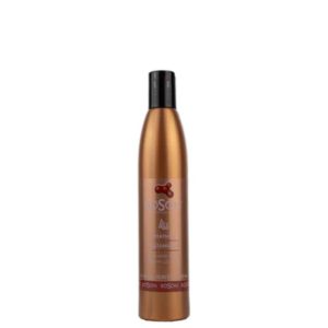Boson Liss Tratamiento 320 ml.